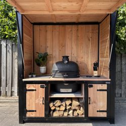 IMG_2978 green egg in steigerhout keuken