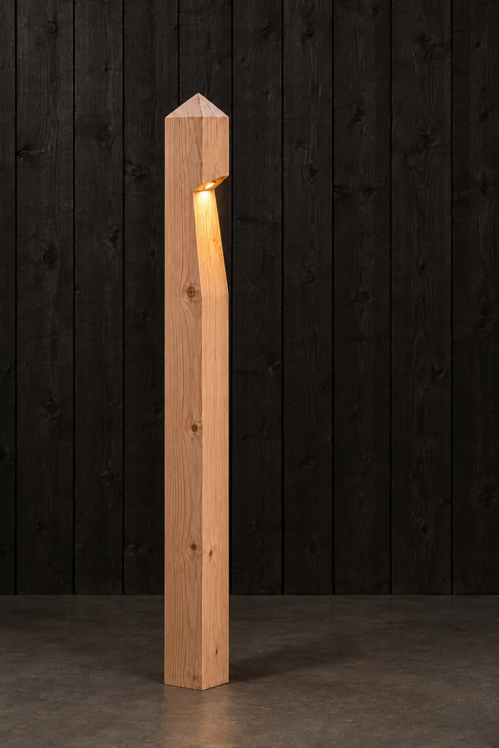 Lichtpaal Douglas Punt
